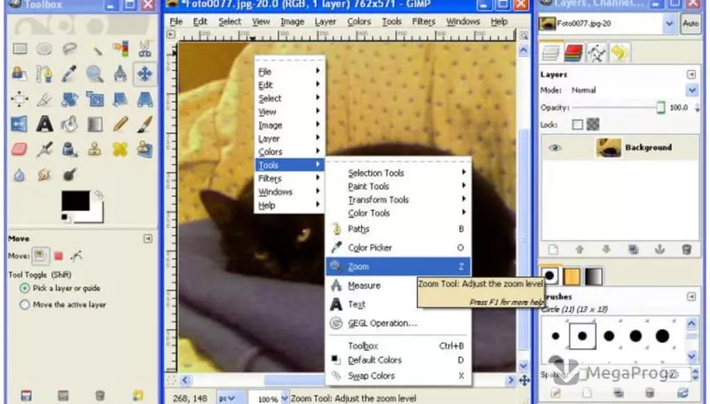 GIMP